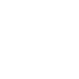 windows logo